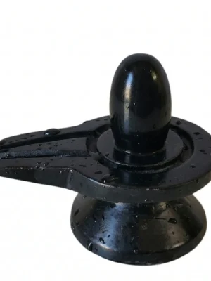 Black-2-inches-narmadeshwar-shivling-jaladhari-parth-narmadeshwaer-shivling Black Narmadeshwar Shivling for Home