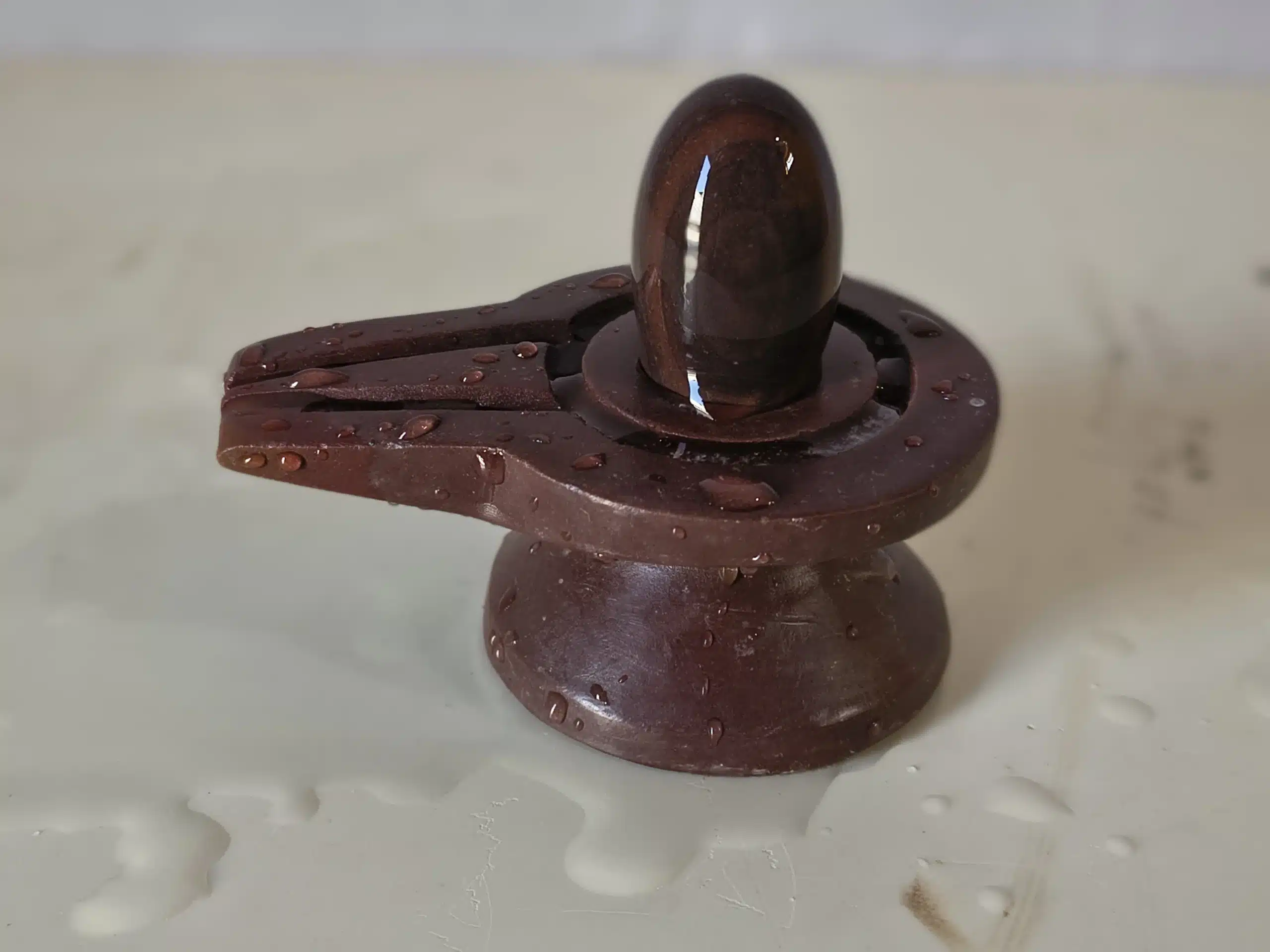 Janudhari Narmadeshwar Shivling form Narmada River