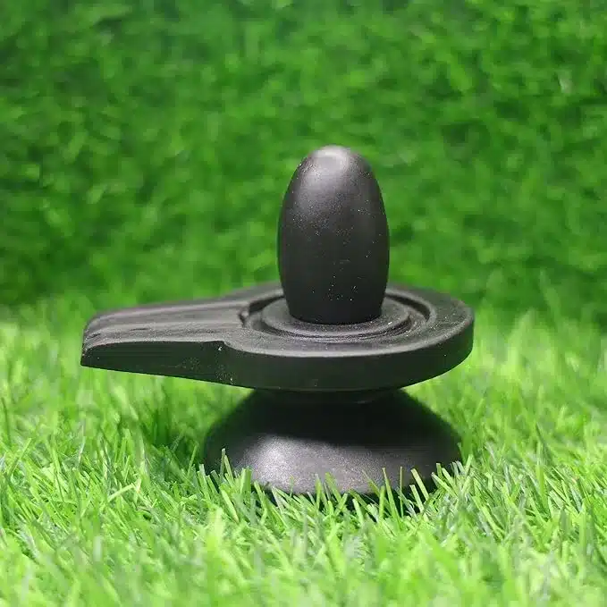 Black Narmadeshwar Shivling on Jaladhari – Sacred Narmada Stone Shivling