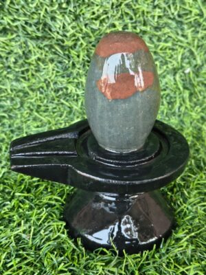 Janudhari Narmadeshwar Shivling form Narmada River