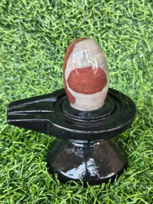 Narmadeshwar Shivling With Jaladhari - Narmada River Stone