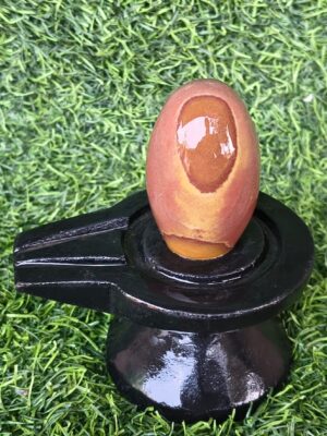 Red Janudhari Narmadeshwar Shivling for Home